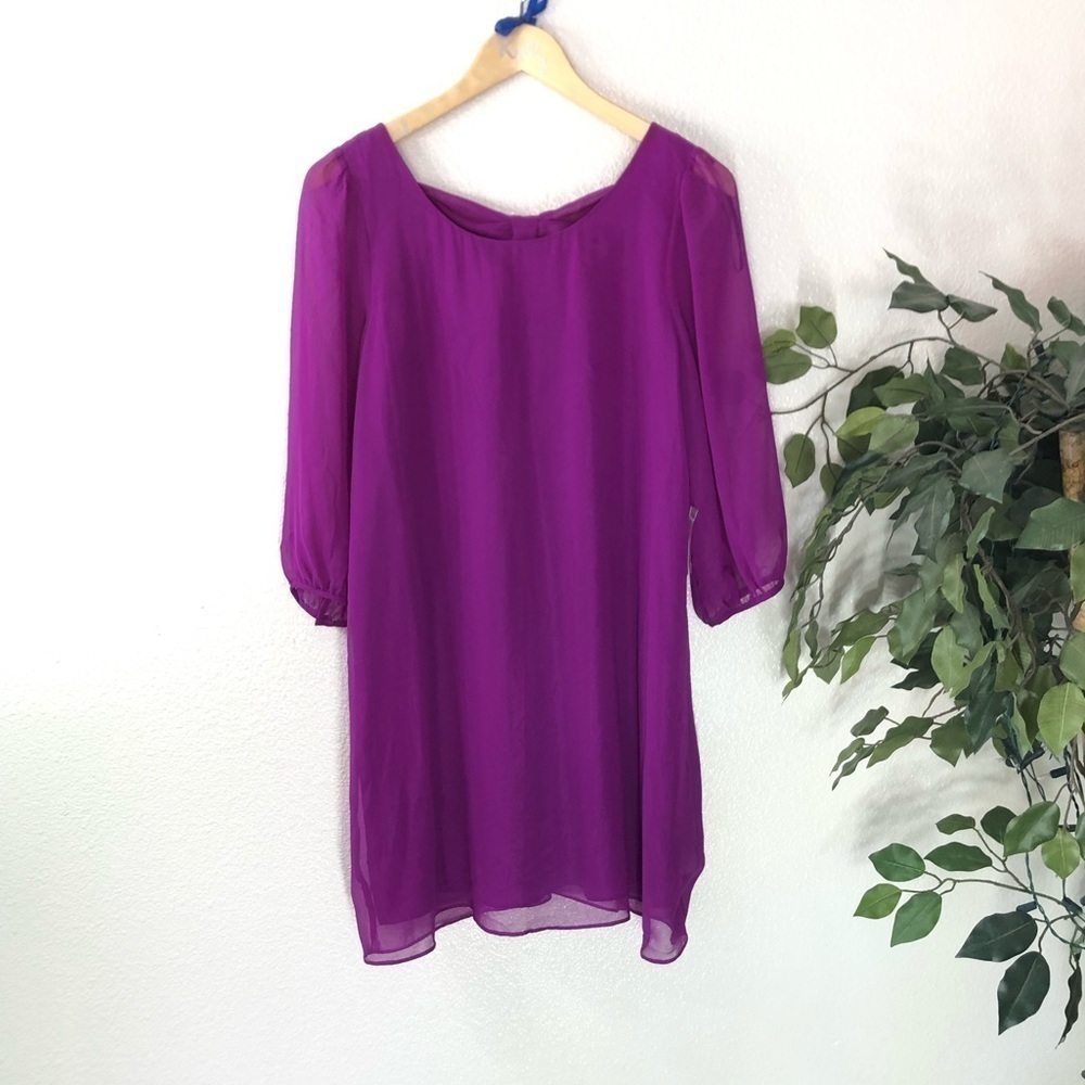 NWT Forever 21 Sheer Sleeve Dress